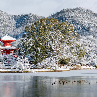 معبد دايكاكوجي