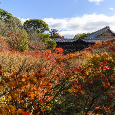 Templo Tofukuji