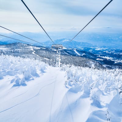 Monstros de neve de Zao (Miyagi)