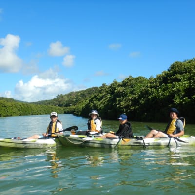山原紅樹林划皮艇