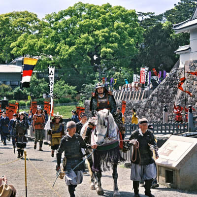 Festival de Odawara Hojo Godai