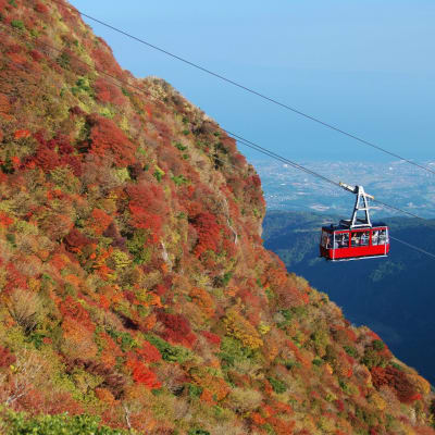 Feuilles d'automne du col de Nita