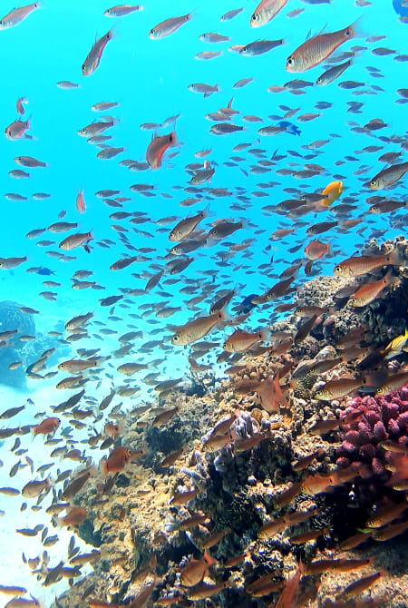 Tokashiki-jima Island