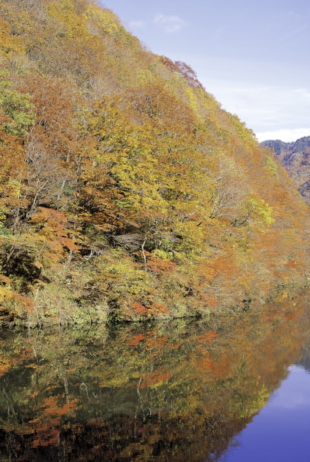 Yamagata Autumn