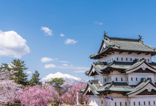 Hirosaki Park Cherry Blossom-SPR