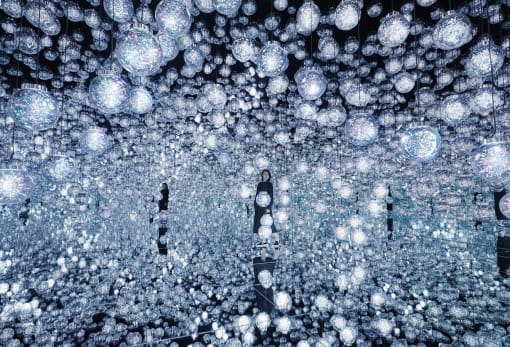 teamLab Borderless: MORI Building DIGITAL ART MUSEUM