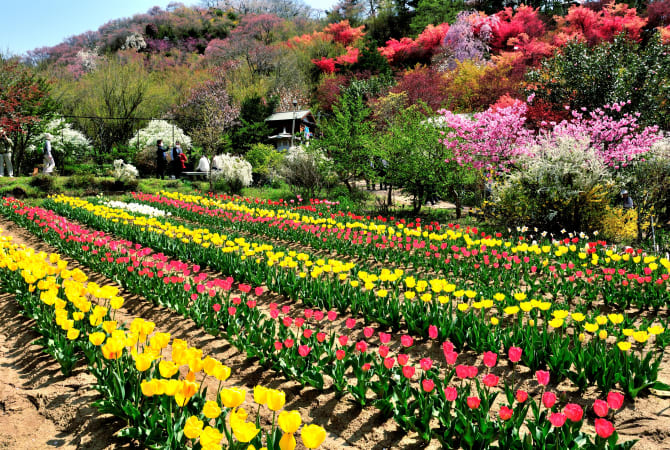 fukushima city