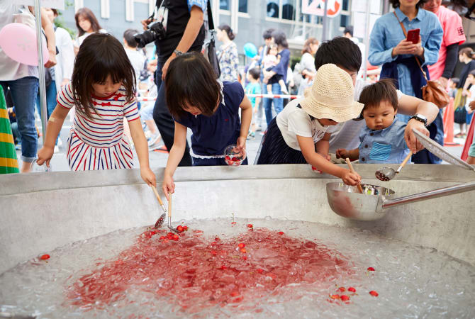 Yamagata Cherry Festival