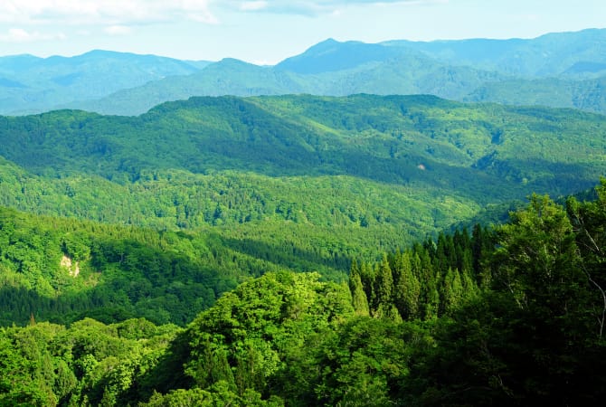 shirakami-sanchi mountain range