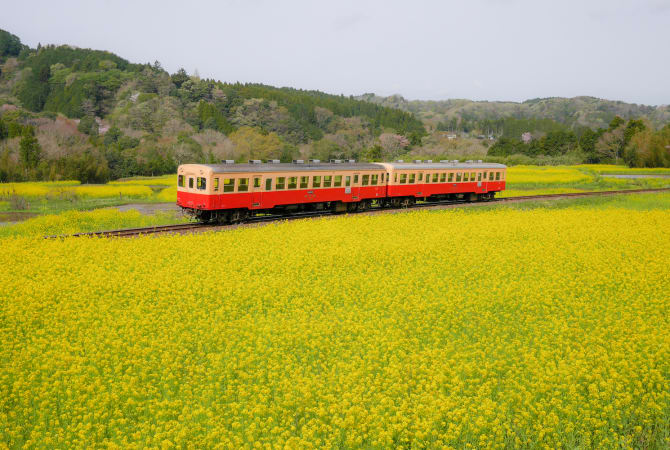 Trasporti in Giappone, Programma