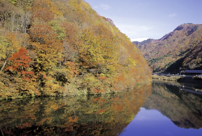 Yamagata Autumn