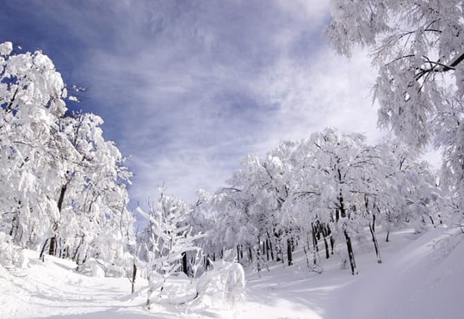 A Winter Weekend In Niigata Travel Japan Jnto
