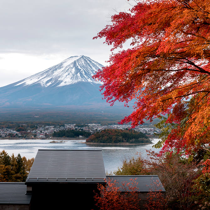 Glamping in Japan—a luxury camping experience