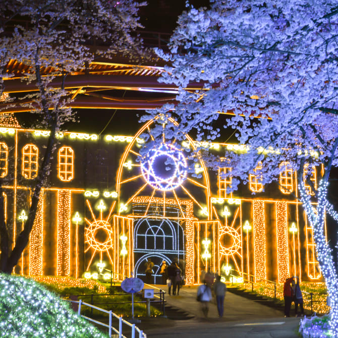 Sagamiko Illumillion