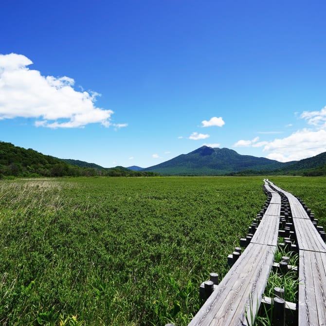 Oze National Park (Gunma)