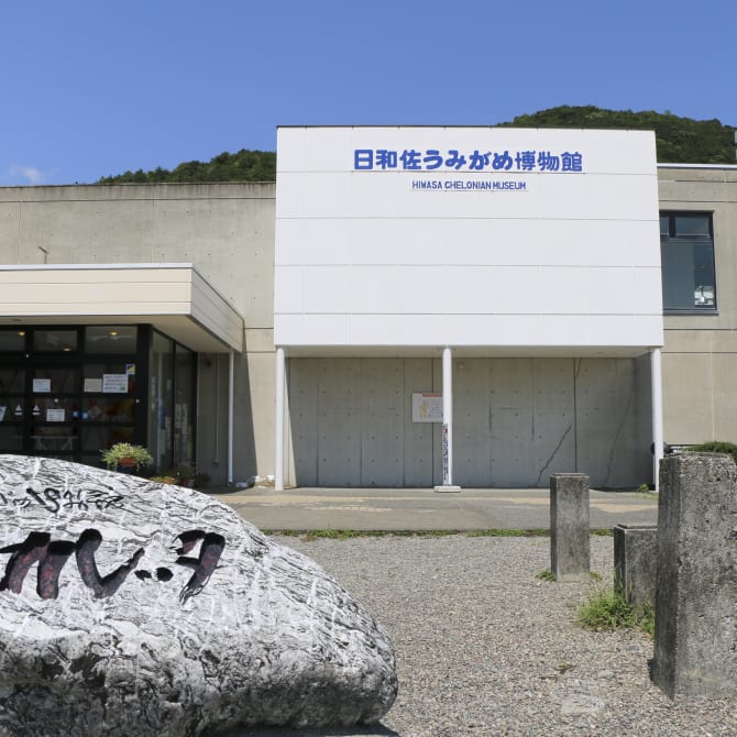 Hiwasa Chelonian Museum Caretta