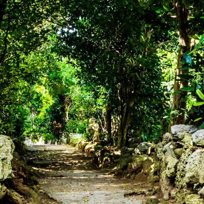 Tropical Adventure in Okinawa