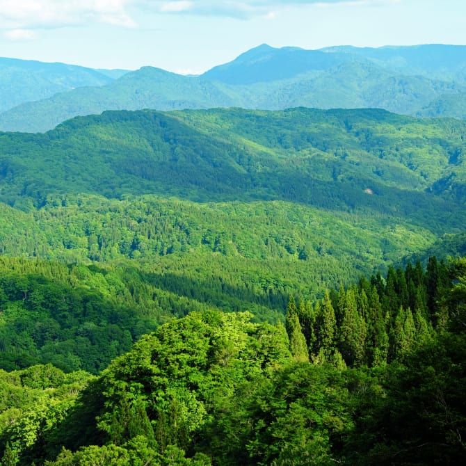 Shirakami Sanchi Mountain Range (UNESCO)