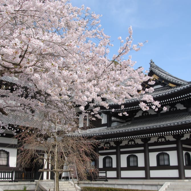 Hasedera Temple (Kanagawa)