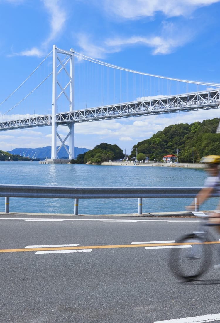 Best japanese road bikes new arrivals