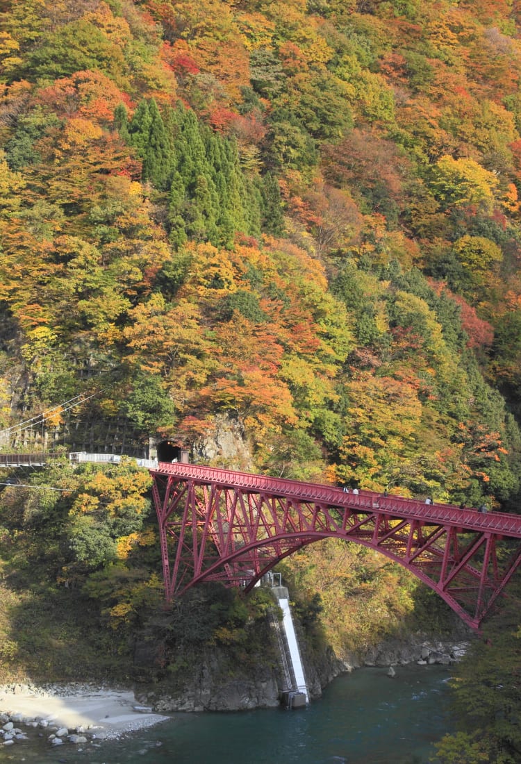 Autumn in Toyama