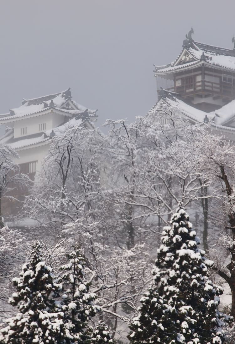 echizen ono castle