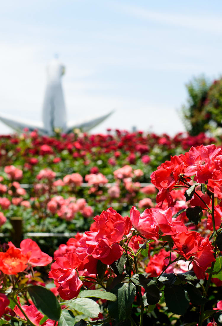 Expo Memorial Park