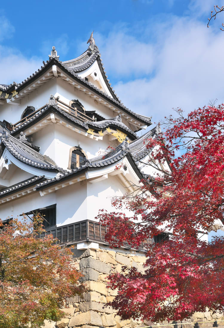 hikone castle