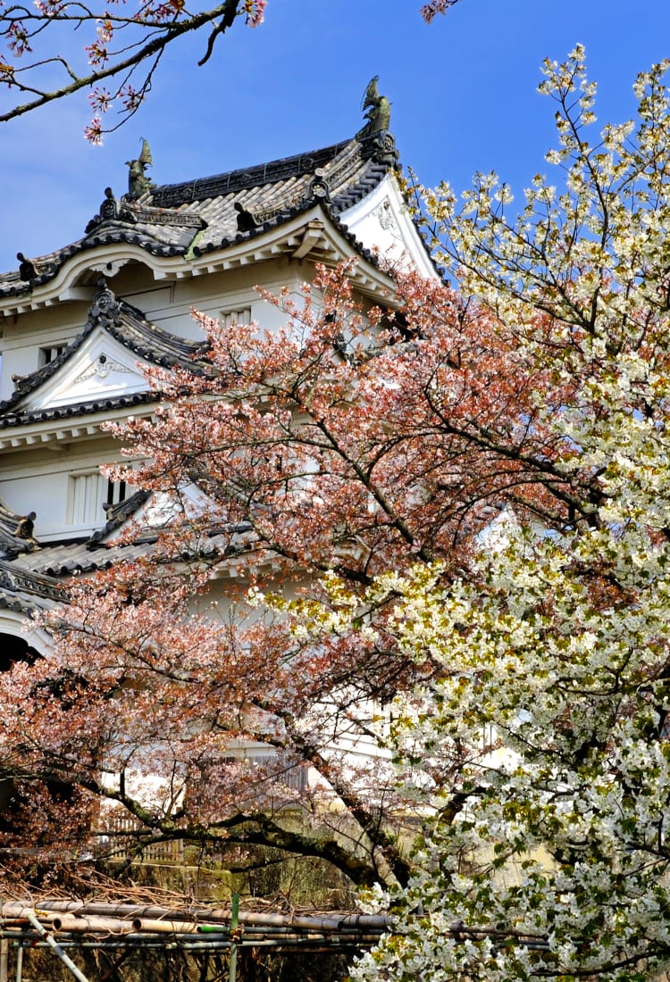 uwajima castle