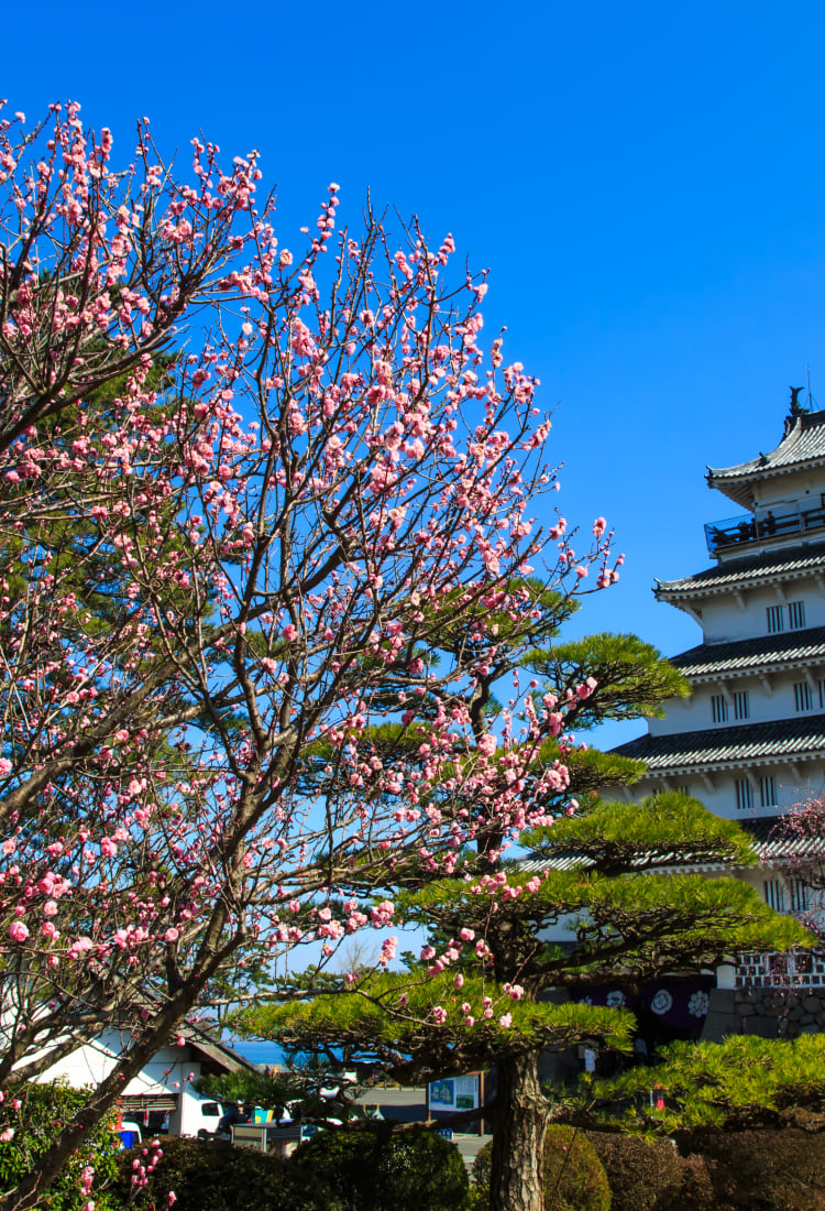 shimabara castle