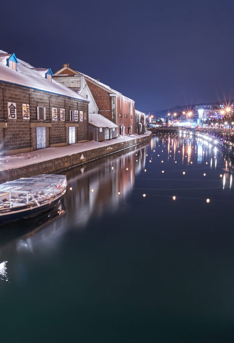 Otaru Snow Light Path