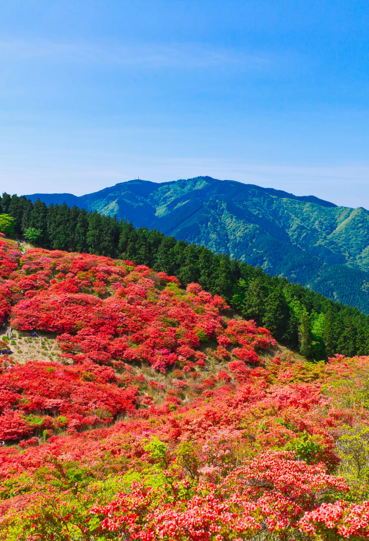 mt. katsuragi