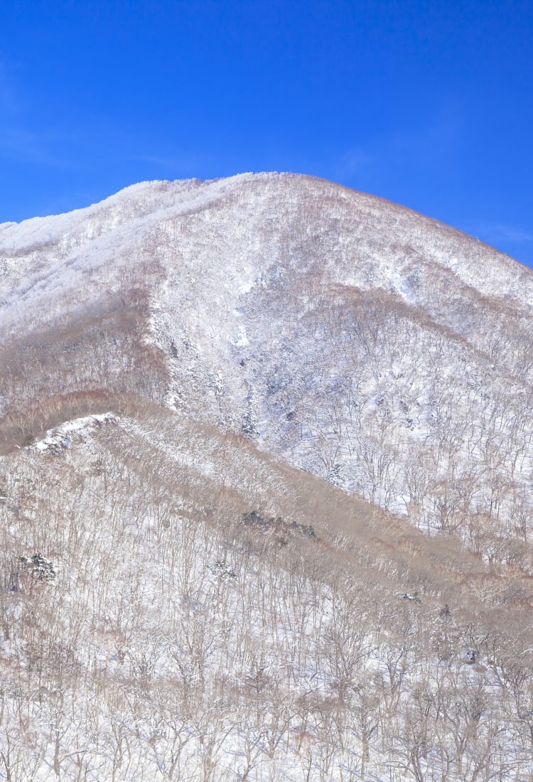 maebashi & akagi