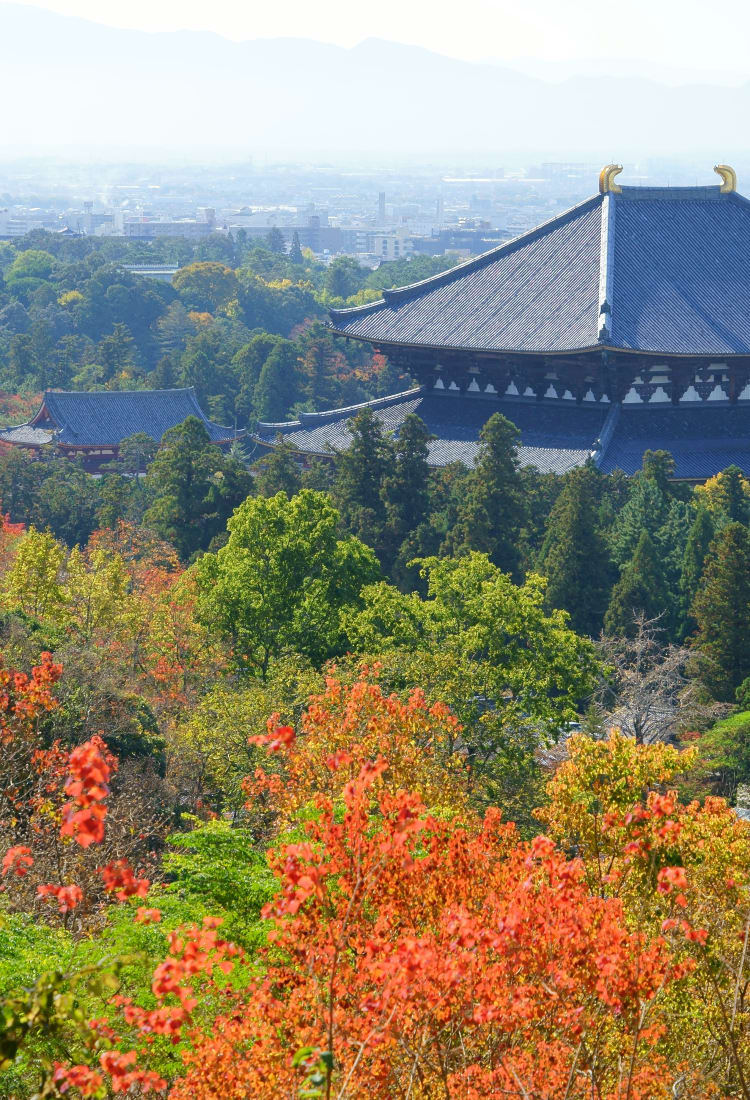 the historic monuments of ancient nara