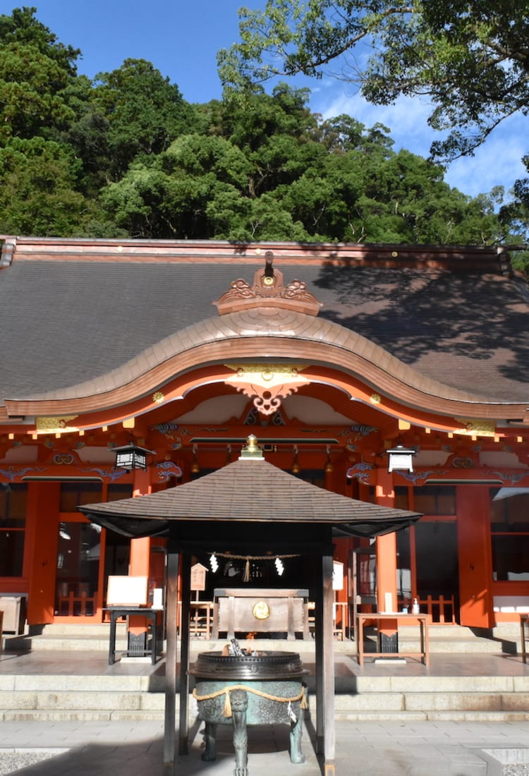 FOGO E ÁGUA : TEMPLO DA FLORESTA