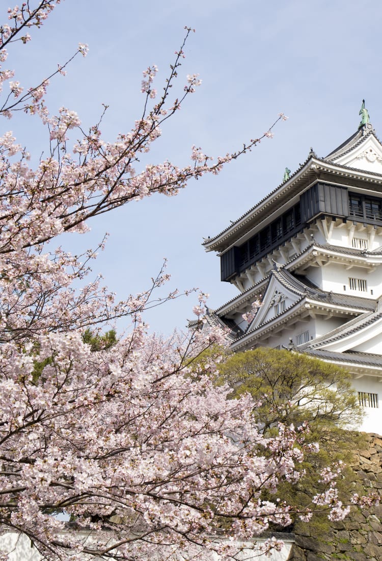 기타규슈 | 후쿠오카 | 규슈 | 목적지 | Travel Japan - 일본정부관광국(공식 홈페이지)