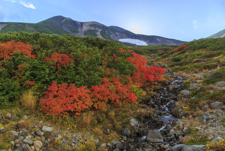 Norikura Area