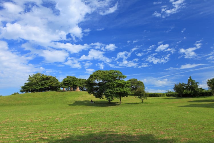 Chiba Port Park