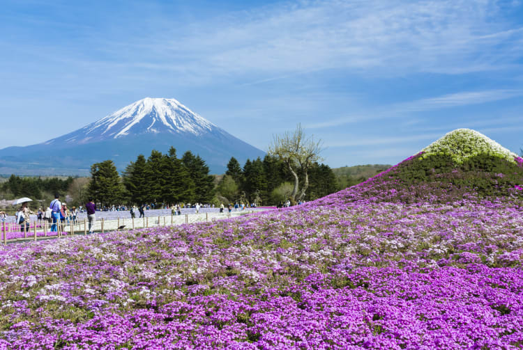 fuji five lakes