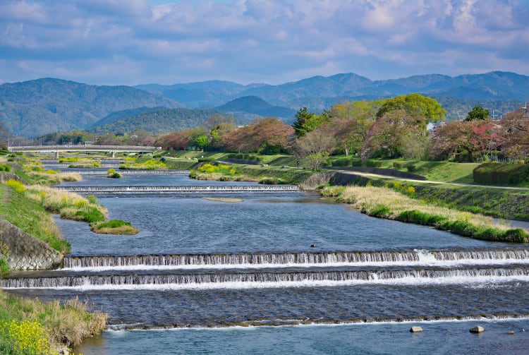 Kamo River