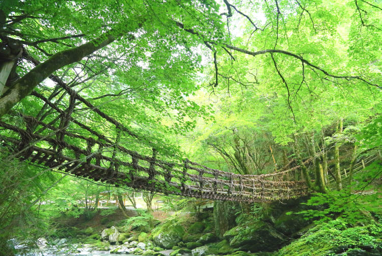 Kazurabashi Bridge