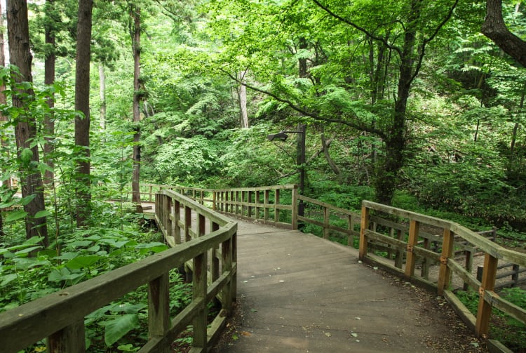 Maruyama-koen Park