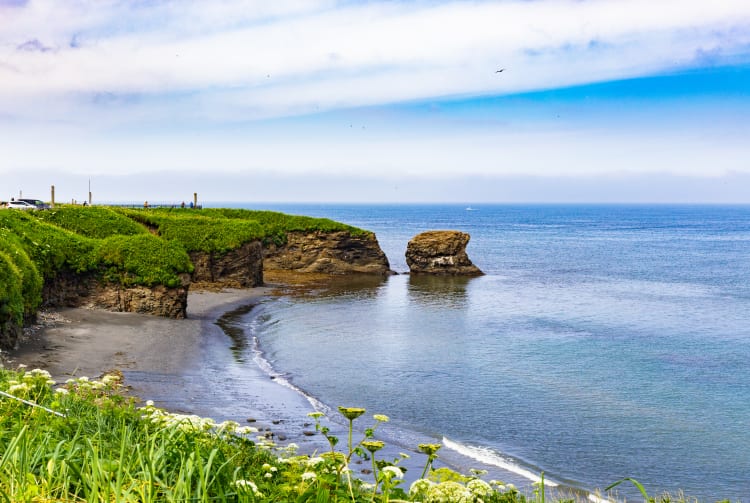 Cape Nosappu