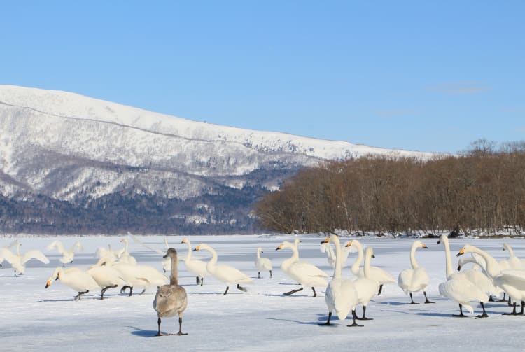 Lake Tofutsu