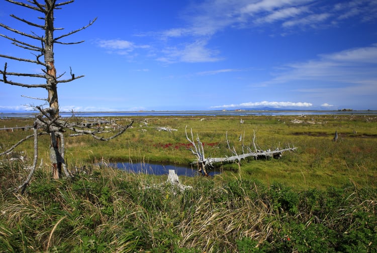 Notsuke Peninsula