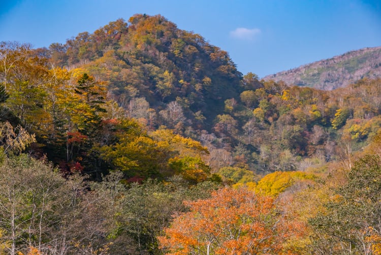 Shiretoko Kokuritsu-koen -National Park Rausu Visitors Center