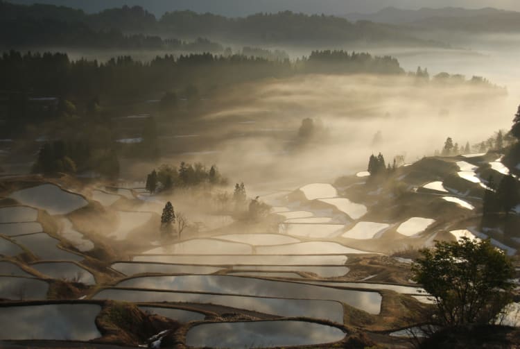 The terraced rice fields of Hoshi-toge