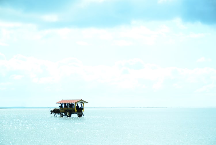 Yubu Island on a cow carts