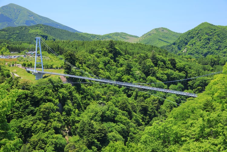 Kokonoe Yume Grand Suspension Bridge