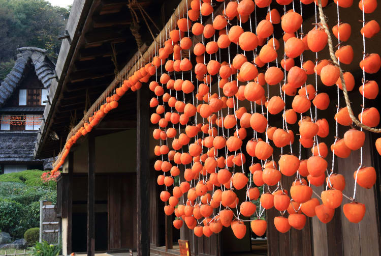 Japan Open-Air Folk House Museum